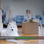 pet moving and relocation tips