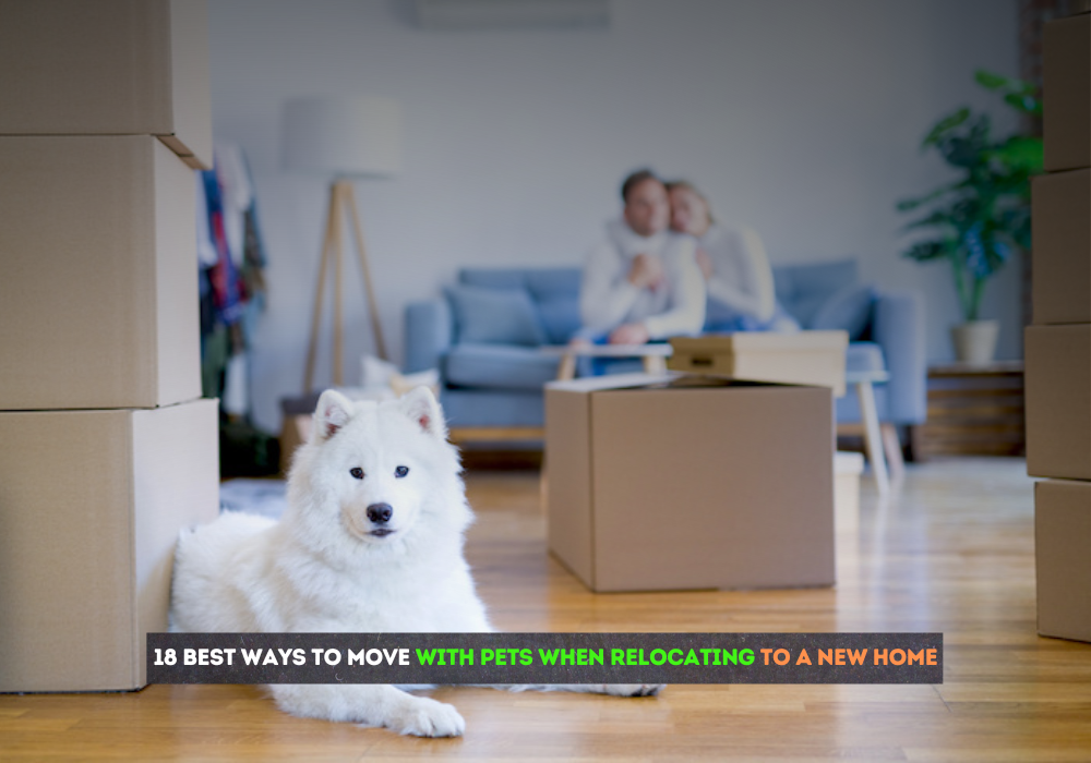 pet moving and relocation tips