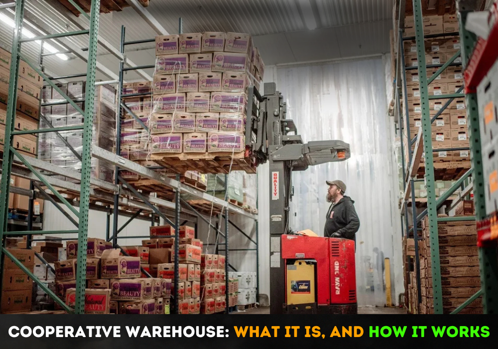 cooperative warehousing and joint inventory management